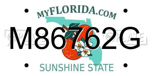 M86762G Florida License Plate