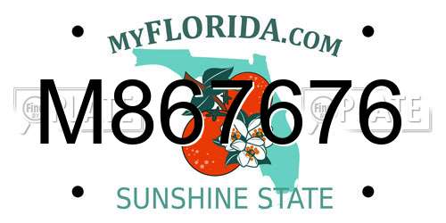 M867676 Florida License Plate