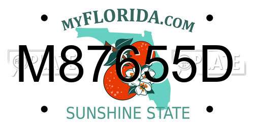 M87655D Florida License Plate