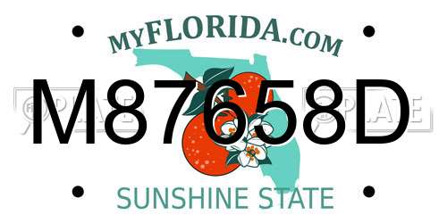 M87658D Florida License Plate
