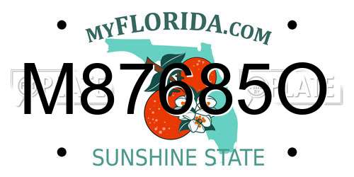 M87685O Florida License Plate