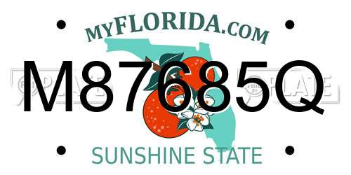 M87685Q Florida License Plate