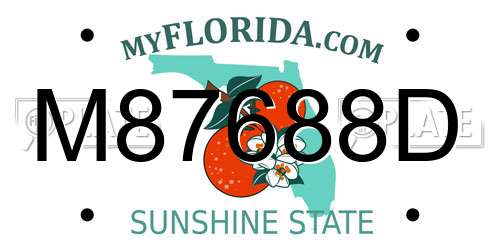 M87688D Florida License Plate