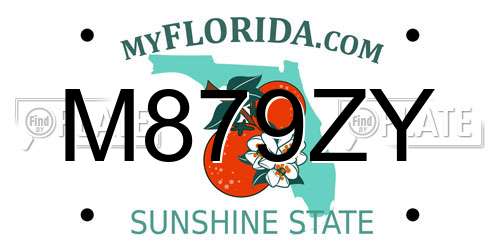 M879ZY Florida License Plate