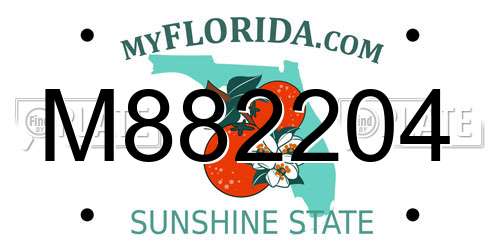M882204 Florida License Plate