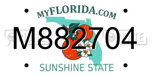 M882704 Florida License Plate