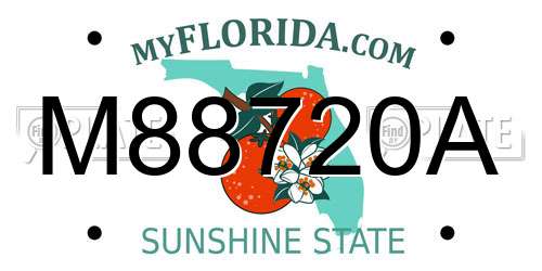 M88720A Florida License Plate