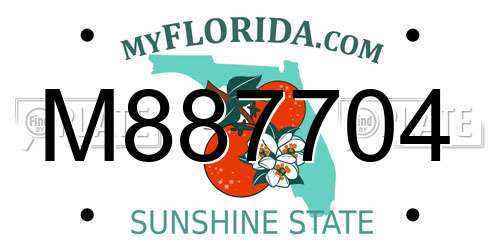 M887704 Florida License Plate