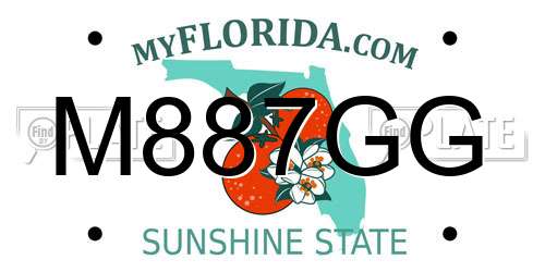 M887GG Florida License Plate