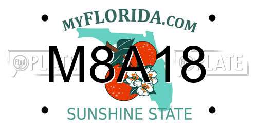 M8A18 Florida License Plate