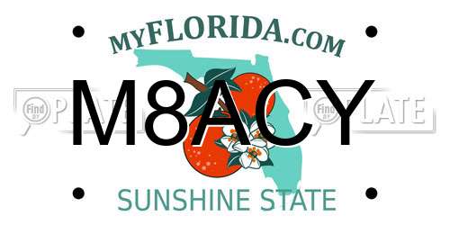 M8ACY Florida License Plate