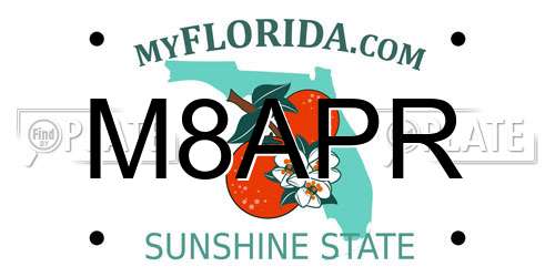 M8APR Florida License Plate