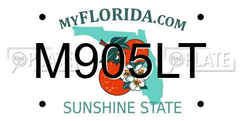 M905LT Florida License Plate