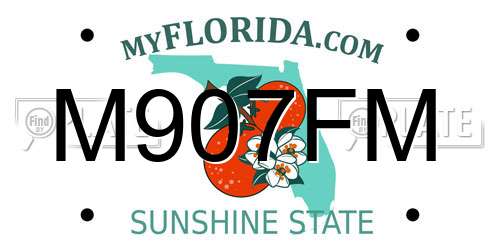 M907FM Florida License Plate