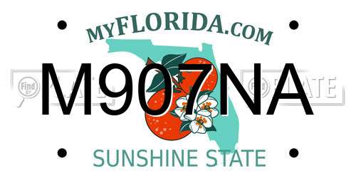 M907NA Florida License Plate