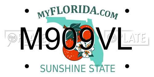 M909VL Florida License Plate