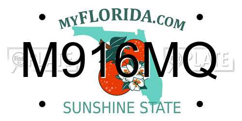 M916MQ Florida License Plate