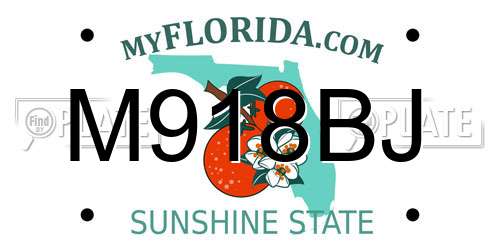 M918BJ Florida License Plate