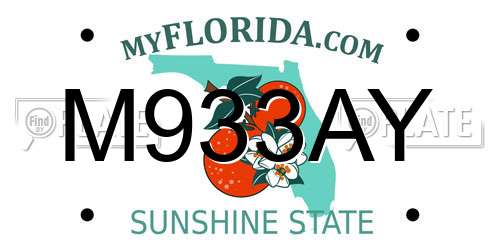 M933AY Florida License Plate
