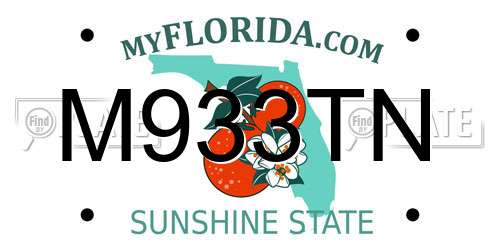 M933TN Florida License Plate