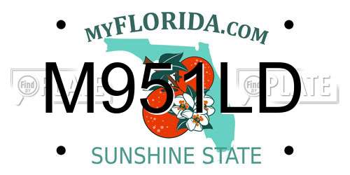 M951LD Florida License Plate