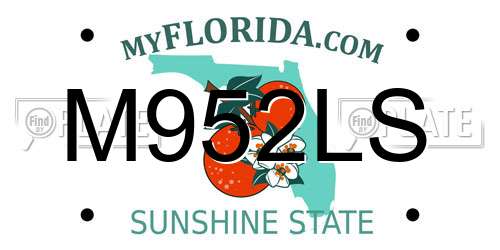 M952LS Florida License Plate