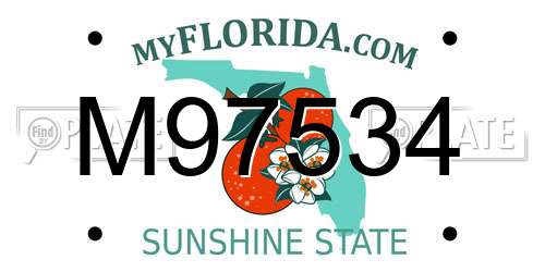 M97534 Florida License Plate