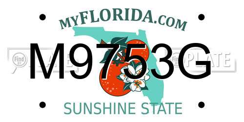 M9753G Florida License Plate