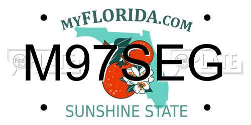 M97SEG Florida License Plate
