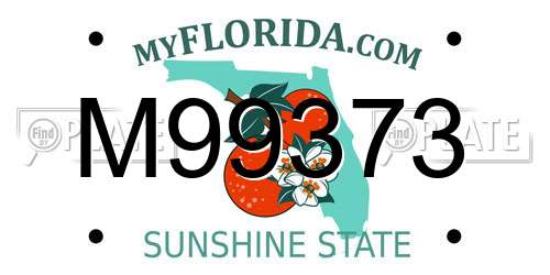 M99373 Florida License Plate