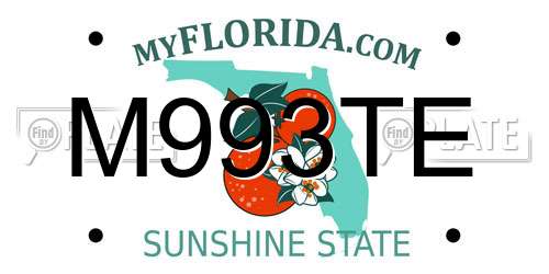 M993TE Florida License Plate