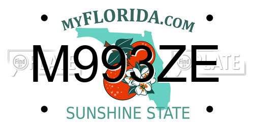 M993ZE Florida License Plate