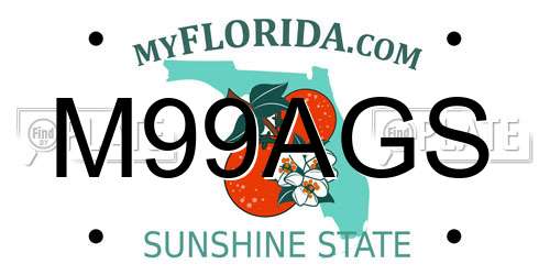 M99AGS Florida License Plate