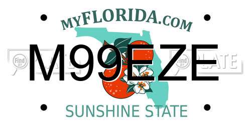 M99EZE Florida License Plate