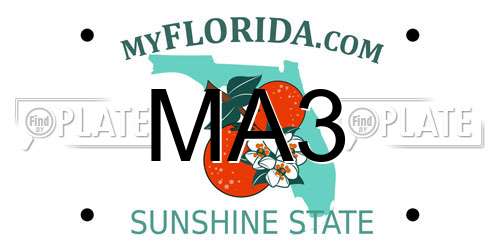 MA3 Florida License Plate