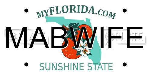 MABWIFE Florida License Plate