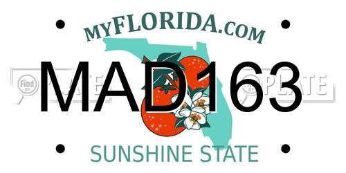 MAD163 Florida License Plate