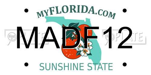 MADF12 Florida License Plate