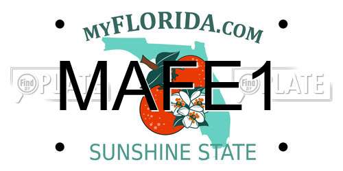 MAFE1 Florida License Plate