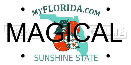 MAGICAL Florida License Plate