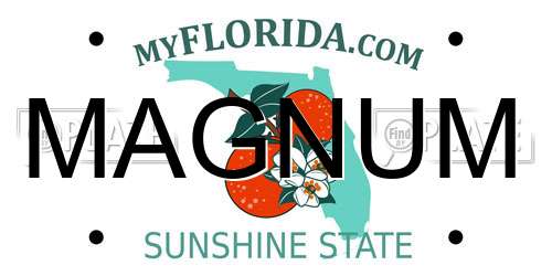 MAGNUM Florida License Plate