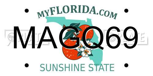 MAGQ69 Florida License Plate