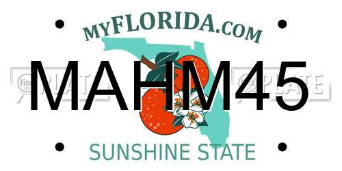 MAHM45 Florida License Plate