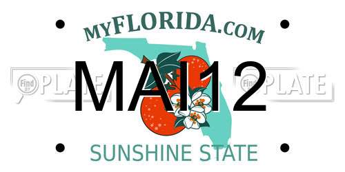 MAI12 Florida License Plate