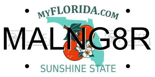 MALNG8R Florida License Plate