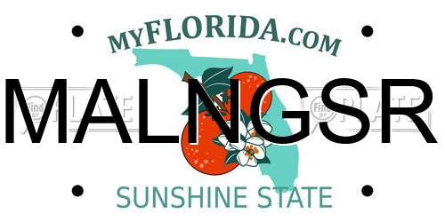 MALNGSR Florida License Plate