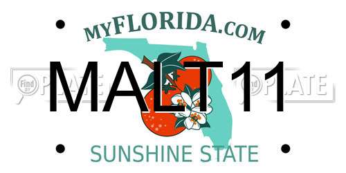 MALT11 Florida License Plate