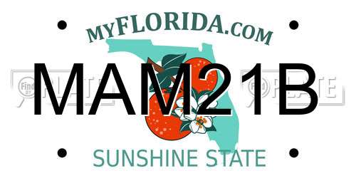 MAM21B Florida License Plate