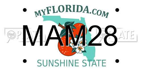 MAM28 Florida License Plate
