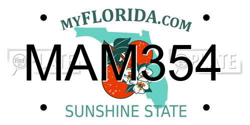 MAM354 Florida License Plate